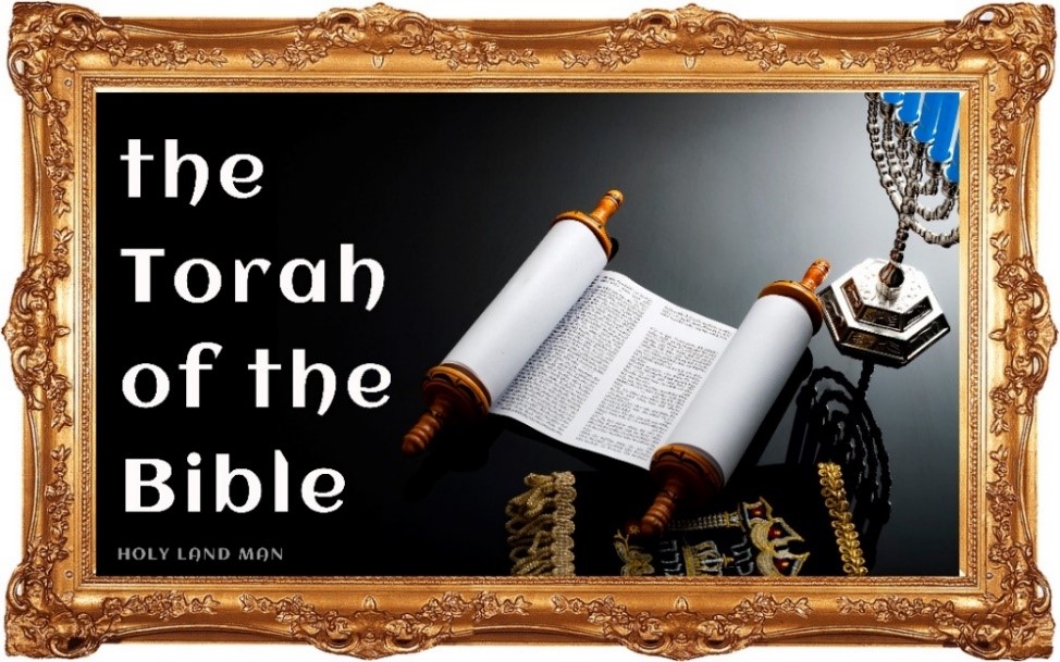 THE TORAH OF THE BIBLE